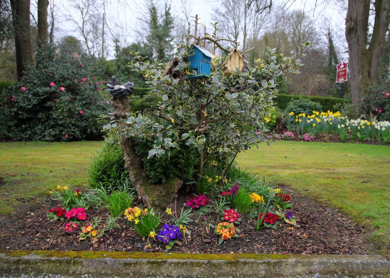 Gleneven Guest House Inniskeen 외부 사진
